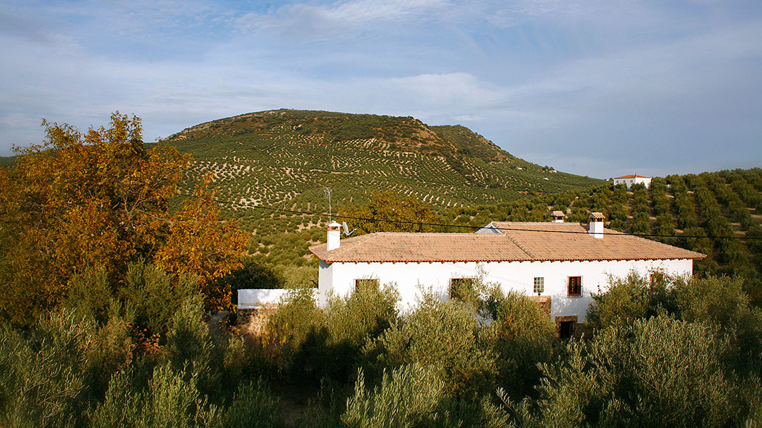 Cortijo la Pasailla entre olivares