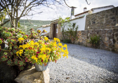 Exterior del cortijo