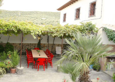 quienes somos patio interior